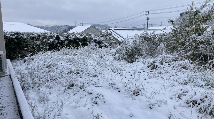 空き家探しのコツ