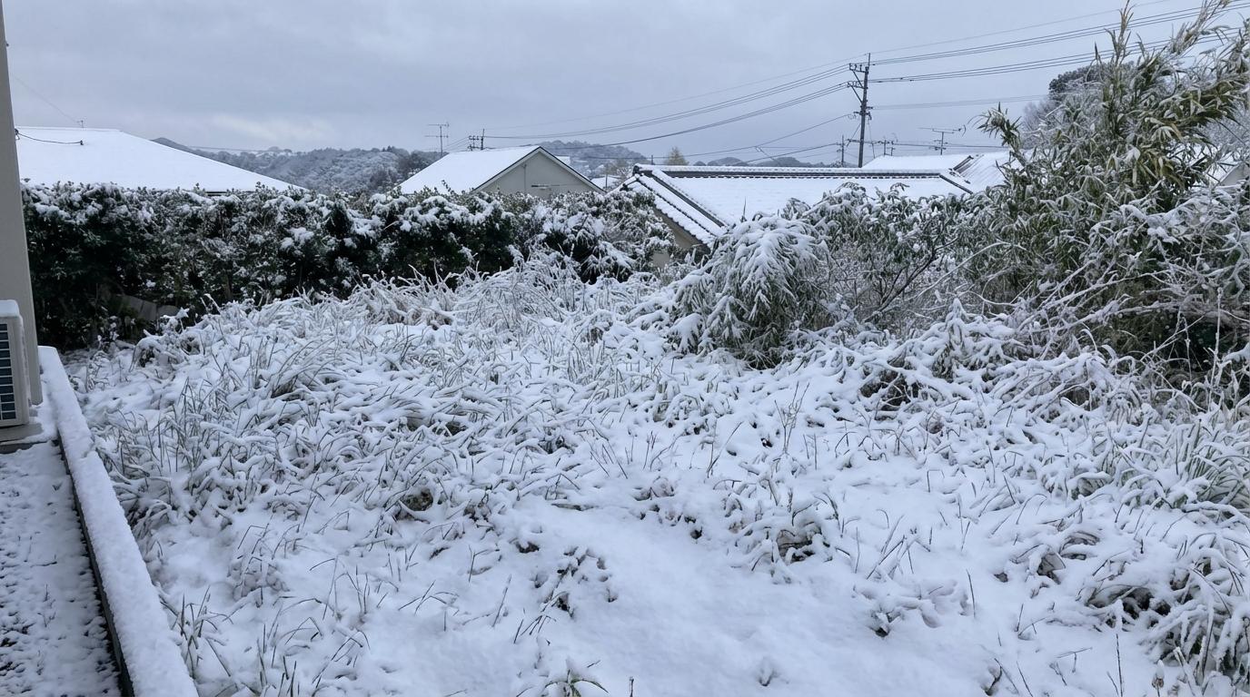 空き家バンクの使い方と注意点|探す・登録する手順を解説